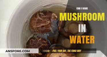 Can You Soak Mushrooms in Water? Tips and Best Practices