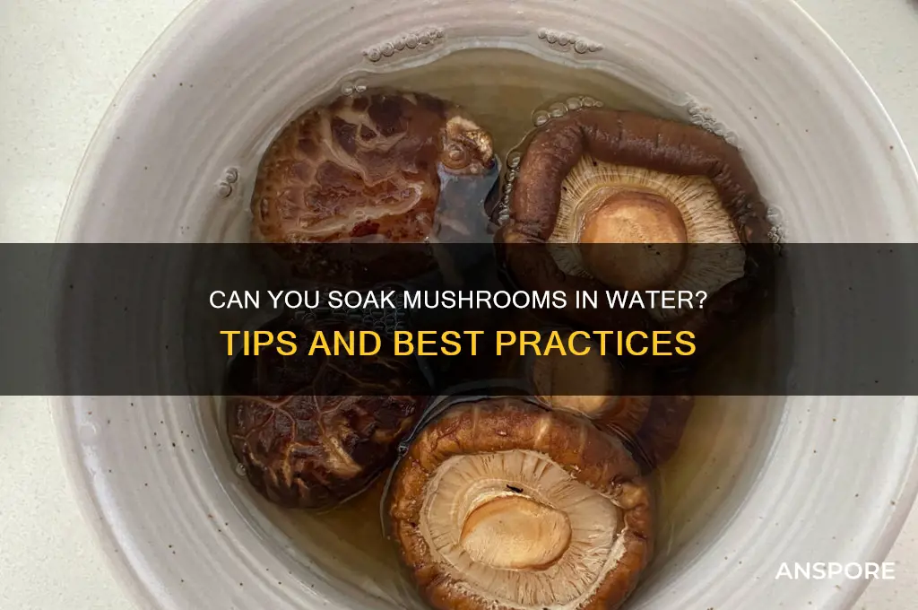 can i soak mushrooms in water