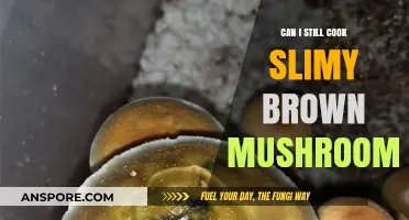 Slimy Brown Mushrooms: Safe to Cook or Toss Out?