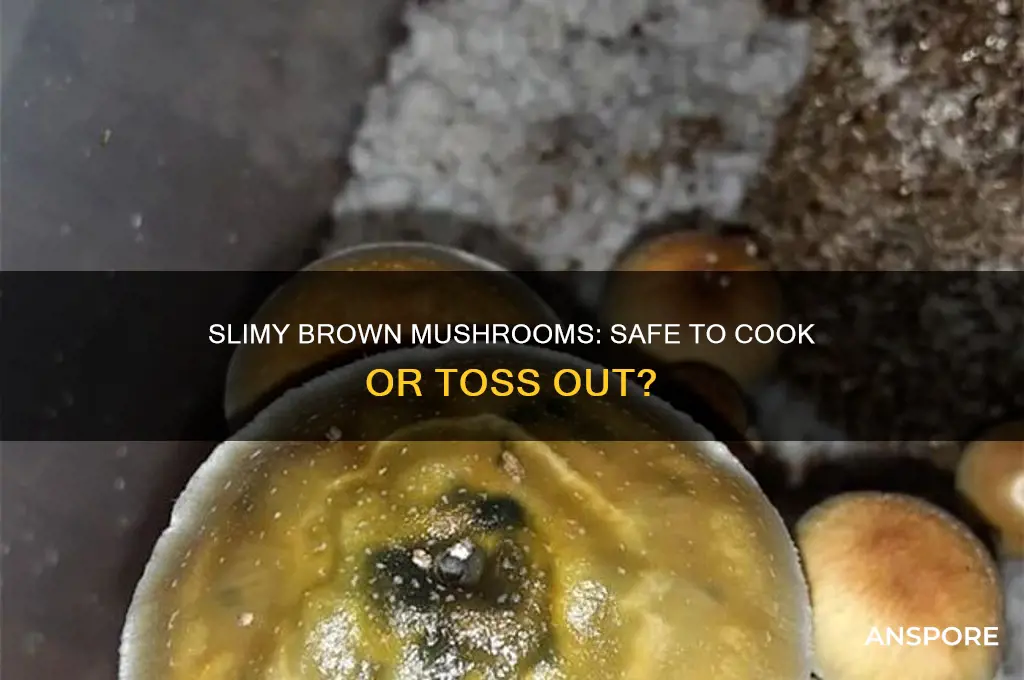 can i still cook slimy brown mushrooms