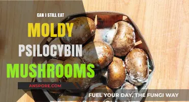Risky Business: Eating Moldy Psilocybin Mushrooms – Safe or Sorry?