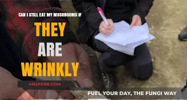 Wrinkly Mushrooms: Safe to Eat or Time to Toss?