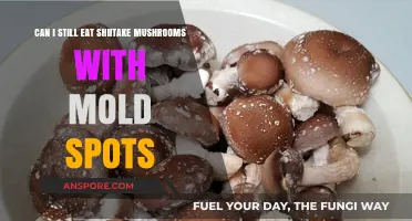 Moldy Shiitake Mushrooms: Safe to Eat or Toss Out?