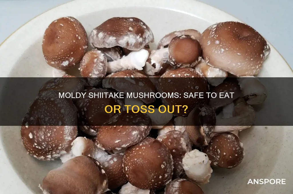 can i still eat shiitake mushrooms with mold spots