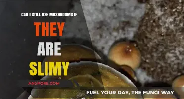 Slimy Mushrooms: Safe to Eat or Toss? Expert Advice