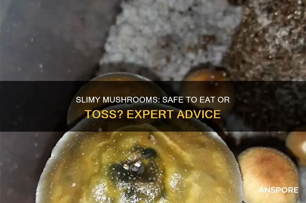 can i still use mushrooms if they are slimy