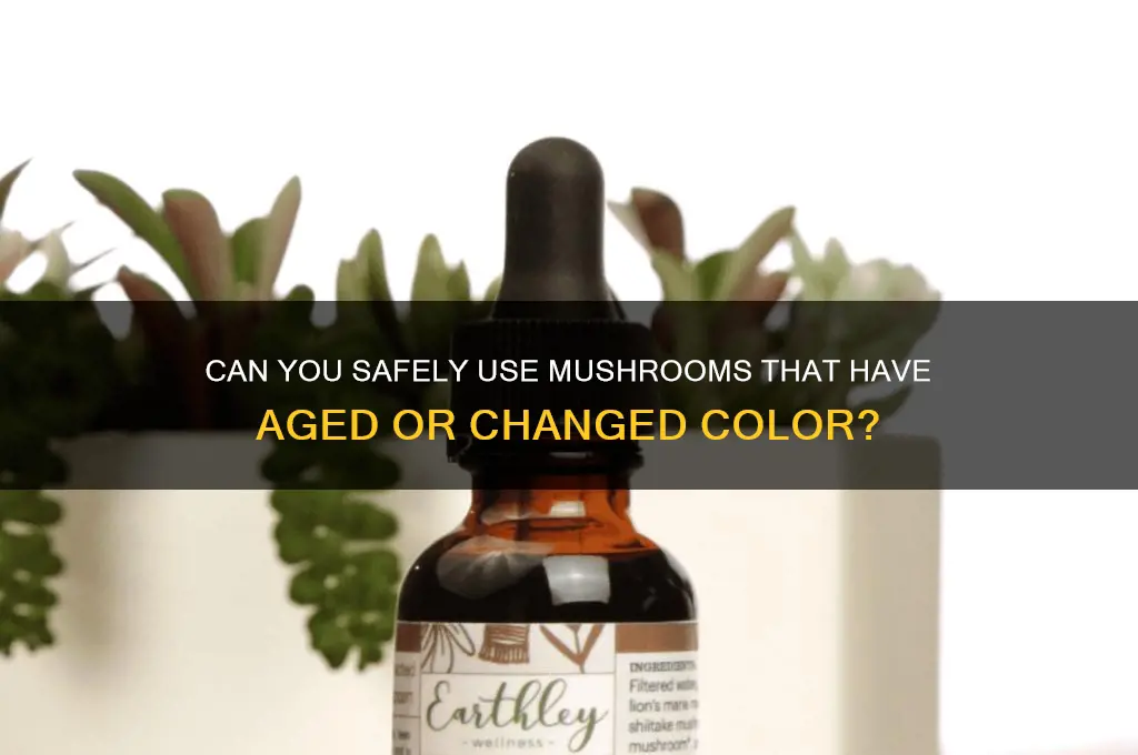 can i still use mushrooms that