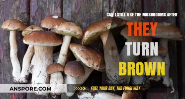 Brown Mushrooms: Safe to Eat or Time to Toss?