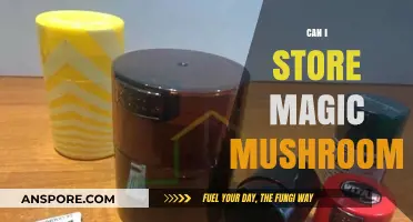 Storing Magic Mushrooms: Best Practices for Longevity and Potency