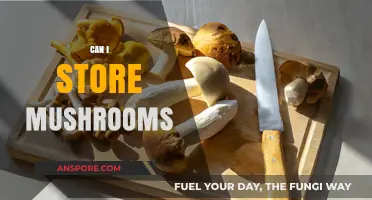 Storing Mushrooms: Tips for Freshness, Flavor, and Longevity