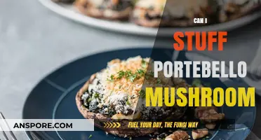 Stuffed Portobello Mushrooms: Delicious Recipes and Creative Filling Ideas