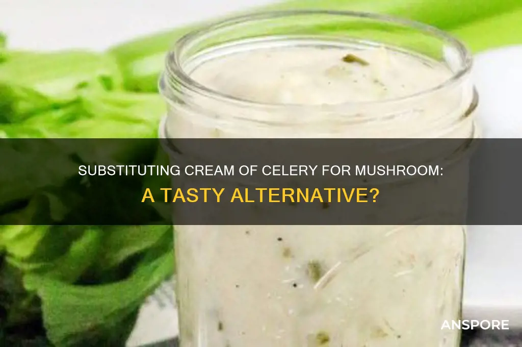 can i sub cream of celery for cream of mushroom