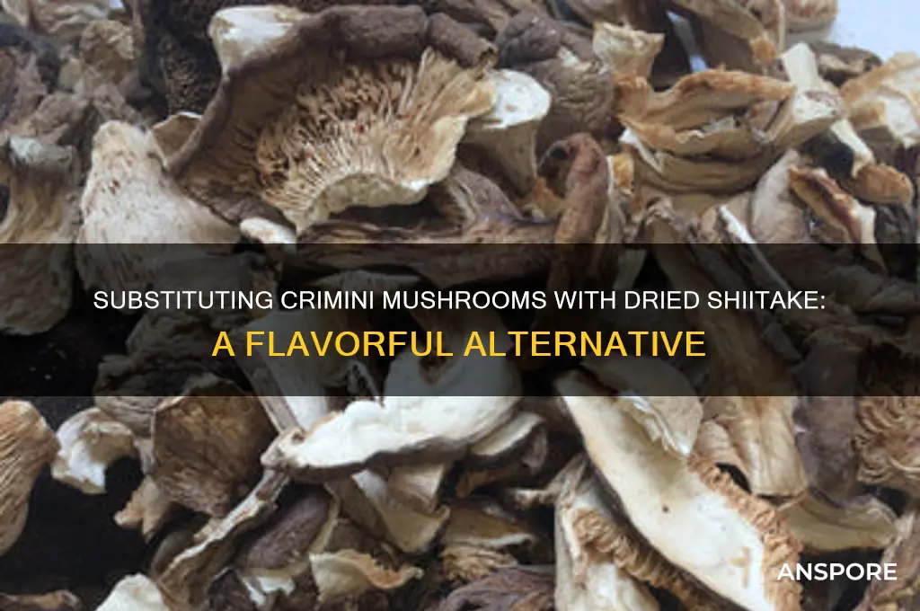 can i substitue crimini mushrooms dried shiitaki