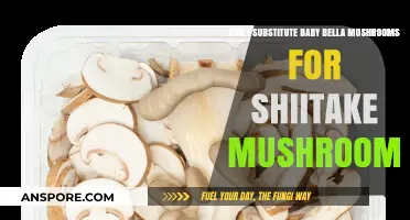 Baby Bella vs. Shiitake: Mushroom Swap Tips for Recipes