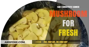 Substituting Canned Mushrooms for Fresh: A Tasty Alternative or Not?