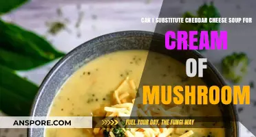 Cheddar Cheese Soup Substitute: Can It Replace Cream of Mushroom?