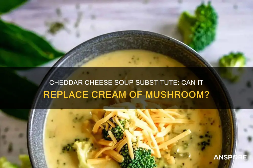 can i substitute cheddar cheese soup for cream of mushroom