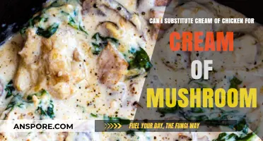 Cream of Chicken vs. Mushroom: Perfect Substitute or Recipe Risk?