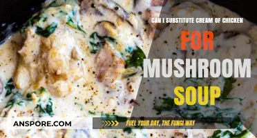 Cream of Chicken vs. Mushroom Soup: Perfect Substitute in Recipes?