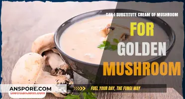 Substituting Cream of Mushroom for Golden Mushroom: A Tasty Alternative?