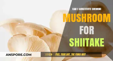 Substituting Cremini for Shiitake: A Mushroom Swap Guide