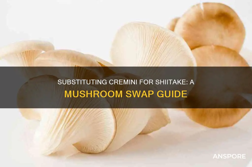 can i substitute cremini mushrooms for shiitake