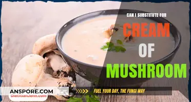 Cream of Mushroom Substitute: Easy Alternatives for Your Favorite Recipes