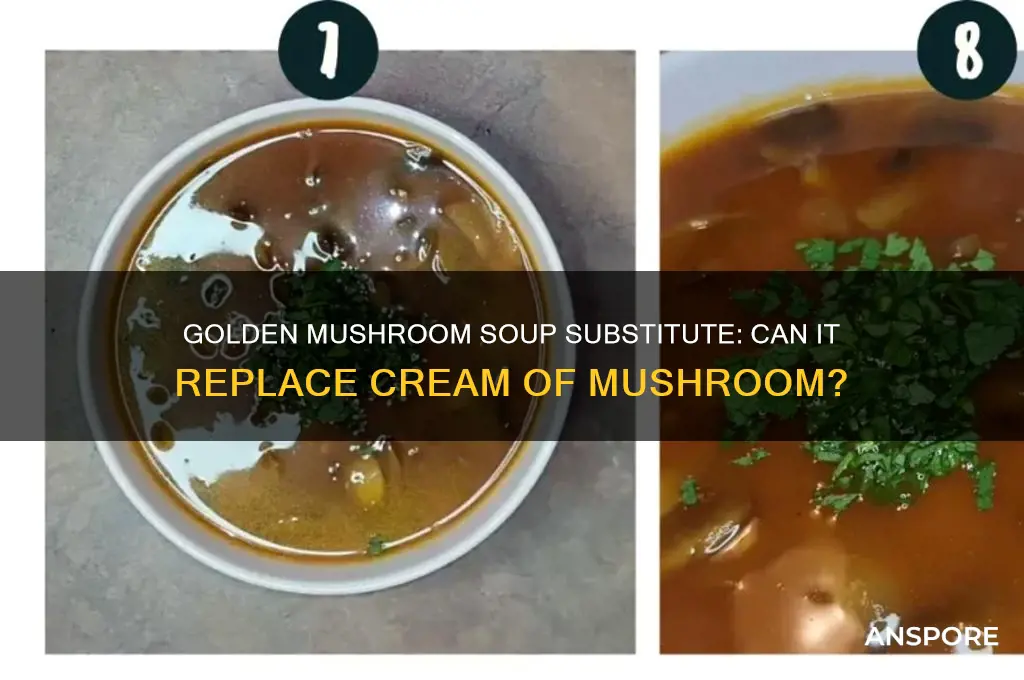 can i substitute golden mushroom soup for cream of mushroom
