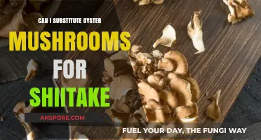 Oyster Mushrooms vs. Shiitake: Perfect Substitute or Culinary Compromise?