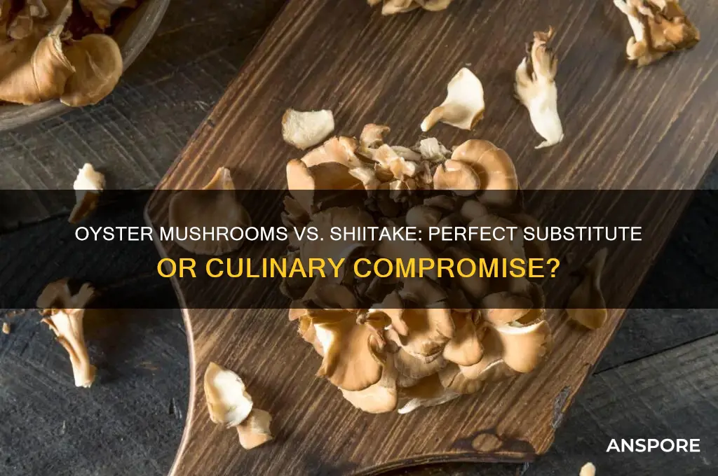can i substitute oyster mushrooms for shiitake