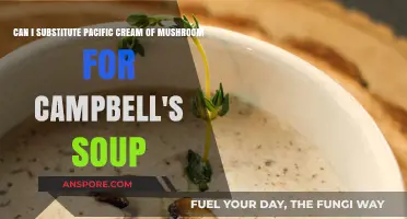 Pacific Cream of Mushroom vs. Campbell's: Perfect Substitute or Not?