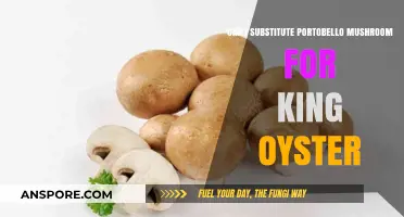 Portobello vs. King Oyster: Can You Substitute One for the Other?