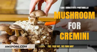 Portobello vs. Cremini: Perfect Substitute or Culinary Compromise?