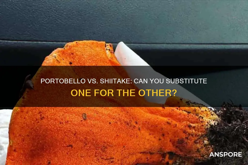 can i substitute portobello mushrooms for shiitake