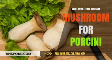 Shiitake vs. Porcini: Can You Substitute One for the Other?