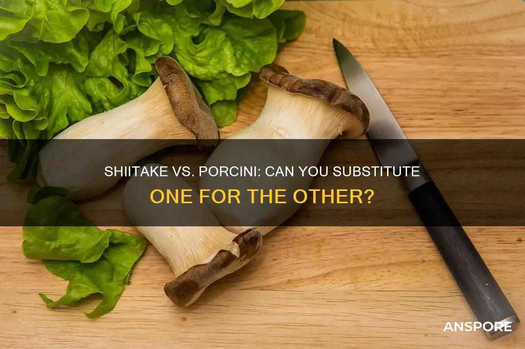 can i substitute shiitake mushrooms for porcini