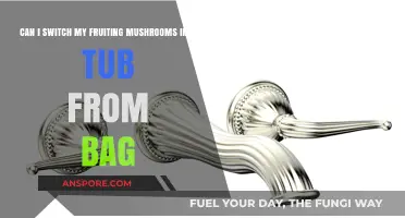 Switching Fruiting Mushrooms: Bag to Tub Transition Guide