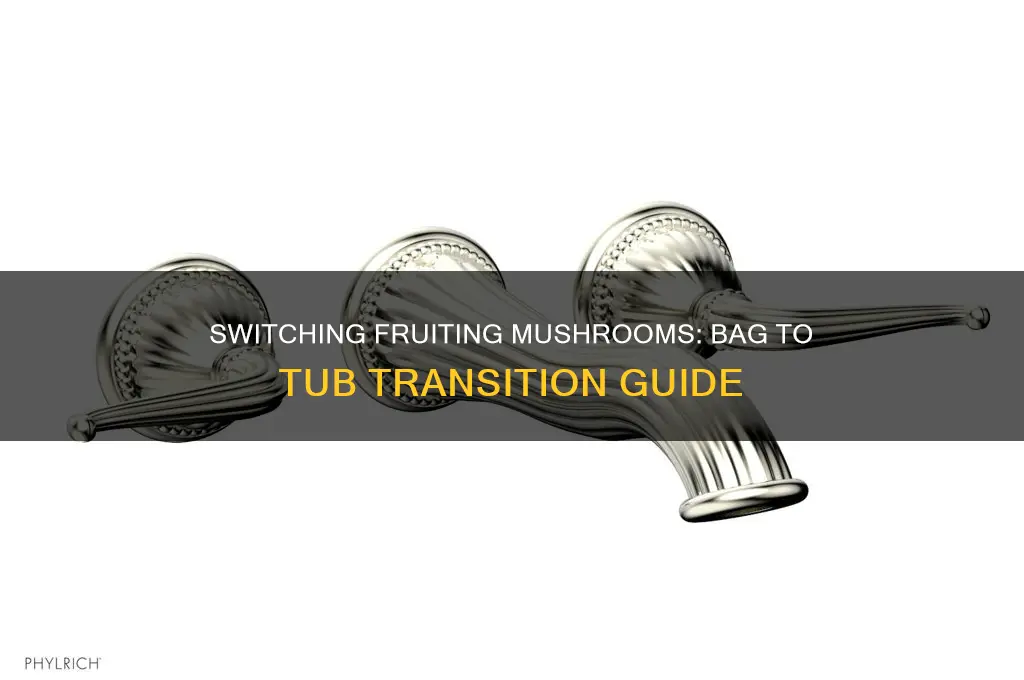 can i switch my fruiting mushrooms into tub from bag