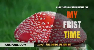First-Time Mushroom Dosage: Is 5g Safe for Beginners?