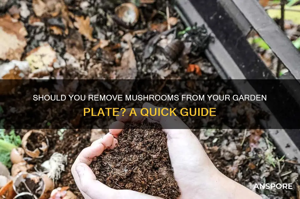 can i take a mushroom off my gar plate