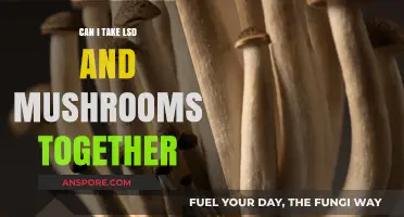 Mixing LSD and Mushrooms: Risks, Effects, and Safety Considerations