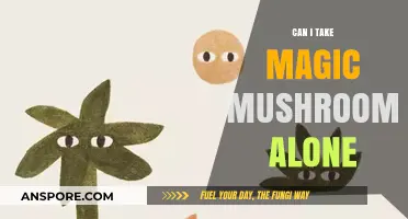 Solo Shroom Trips: Is It Safe to Take Magic Mushrooms Alone?