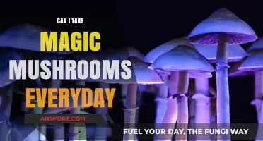 Daily Magic Mushroom Use: Risks, Benefits, and Long-Term Effects Explained