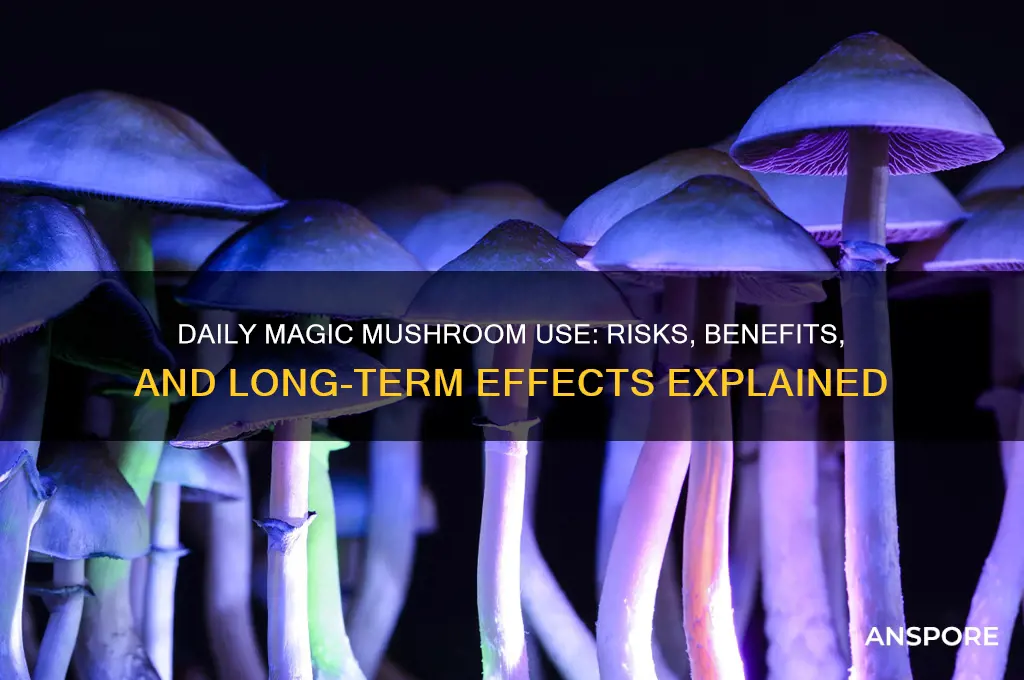 can i take magic mushrooms everyday