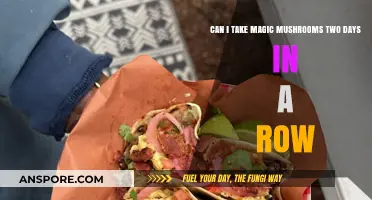 Consecutive Magic Mushroom Use: Risks and Considerations for Daily Trips