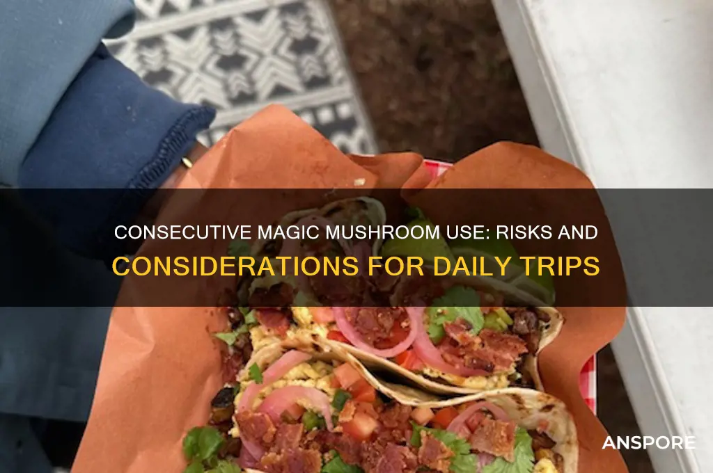 can i take magic mushrooms two days in a row