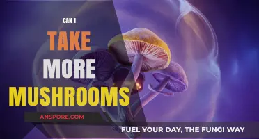 Exploring Mushroom Dosage: Can You Safely Take More Mushrooms?