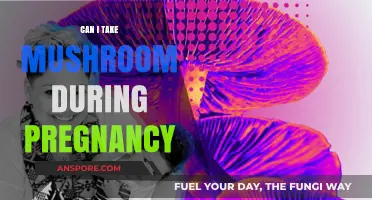 Pregnancy and Mushrooms: Safety, Benefits, and Risks Explained