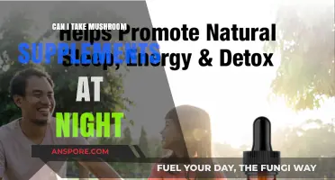 Can Mushroom Supplements Improve Your Sleep Quality at Night?