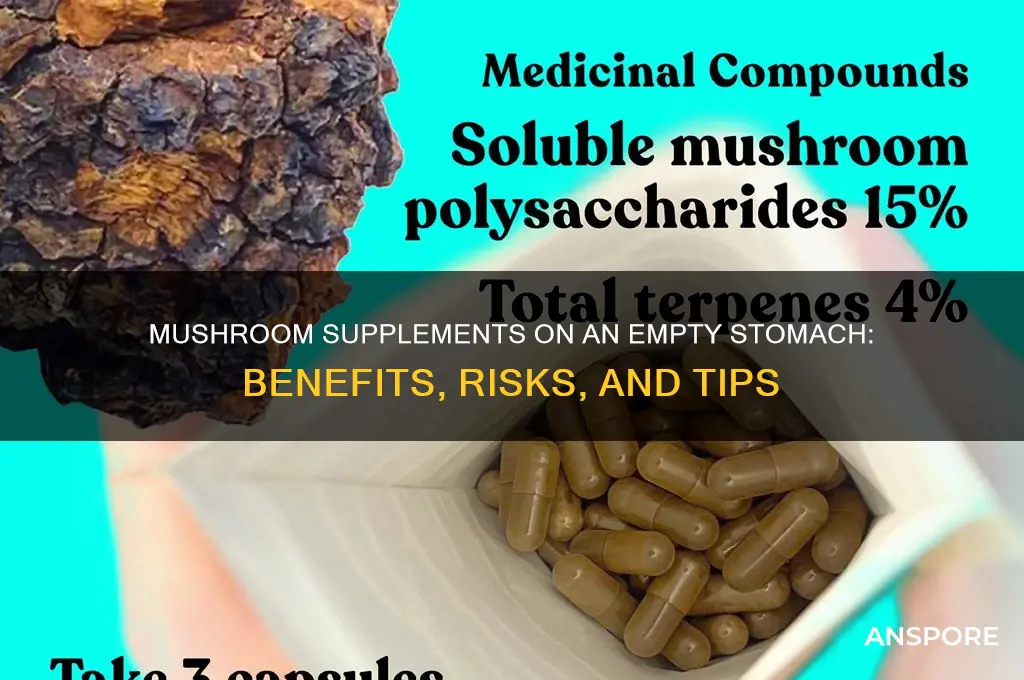 can i take mushroom supplements on an empty stomach